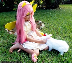 Size: 960x833 | Tagged: safe, artist:ringochan94, imported from derpibooru, angel bunny, fluttershy, human, rabbit, 2015, animal, clothes, cosplay, costume, duo, grass, irl, irl human, photo, target demographic