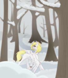 Size: 1900x2160 | Tagged: safe, imported from derpibooru, oc, oc only, oc:ludwig von leeb, pegasus, pony, blonde hair, blushing, clock, forest, glasses, green eyes, looking at you, male, snow, solo, stallion, tree, wings, winter