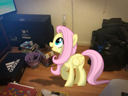 Size: 3264x2448 | Tagged: safe, artist:tmntmlp4ever2000, imported from derpibooru, fluttershy, pony, cute, daaaaaaaaaaaw, high res, irl, photo, ponies in real life, shyabetes, solo