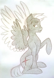 Size: 1130x1632 | Tagged: safe, artist:thepurpah, imported from derpibooru, oc, oc only, oc:stormtrotter, pegasus, pony, colored wings, male, raised hoof, sitting, solo, stallion, traditional art, two toned wings, wings