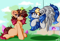 Size: 2602x1801 | Tagged: safe, artist:woonborg, imported from derpibooru, oc, oc only, oc:bluecode, oc:woonie, pegasus, pony, unicorn, ball, blurry background, cheek fluff, chest fluff, cloud, confused, ear fluff, eye clipping through hair, eyebrows, eyebrows visible through hair, eyelashes, g5, grass, hanging, horn, hornball, irritated, my little pony: a new generation, outdoors, signature, sitting, sky, soft color, spread wings, tennis ball, wings, wings down