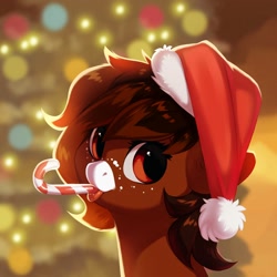Size: 2000x2000 | Tagged: safe, artist:vistamage, imported from derpibooru, oc, oc only, oc:java, pony, candy, candy cane, christmas, facial markings, food, hat, high res, holiday, santa hat, solo