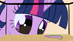 Size: 3840x2160 | Tagged: safe, artist:purblehoers, imported from derpibooru, spike, twilight sparkle, lizard, pony, unicorn, close-up, eye reflection, high res, reflection, size difference, smol, staring contest, staring ponies, terrarium