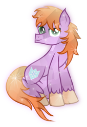 Size: 6089x8941 | Tagged: safe, artist:lincolnbrewsterfan, derpibooru exclusive, imported from derpibooru, oc, oc only, oc:crystal saint, crystal pony, pony, derpibooru community collaboration, .svg available, 2022 community collab, absurd resolution, covering, crystalline, inkscape, looking at you, male, shield, simple background, sitting, smiling, smiling at you, snow, snowflake, solo, stallion, stallion oc, svg, tail, tail curled, transparent background, unshorn fetlocks, vector