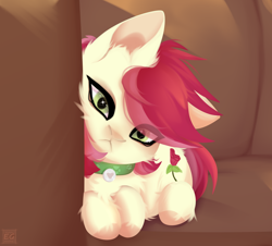 Size: 2280x2060 | Tagged: safe, artist:elektra-gertly, imported from derpibooru, roseluck, cat, earth pony, :<, catified, collar, female, high res, looking at you, mare, rosepet, solo, species swap