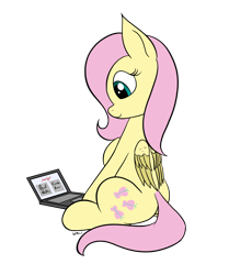 Size: 1476x1766 | Tagged: safe, artist:wapamario63, imported from ponybooru, fluttershy, pegasus, pony, colored, computer, female, flat colors, laptop computer, mare, shitposting, simple background, sitting, solo, transparent background, wings