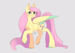 Size: 4092x2893 | Tagged: safe, artist:phroggix, imported from derpibooru, fluttershy, pegasus, pony, blushing, colored wings, colored wingtips, female, gray background, looking at you, mare, simple background, smiling, smiling at you, solo, unshorn fetlocks, wings