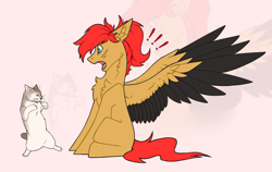 Size: 4284x2700 | Tagged: safe, artist:dorkmark, imported from derpibooru, oc, oc only, cat, pegasus, pony, chest fluff, colored wings, ear fluff, exclamation point, meme, screaming, solo, two toned wings, wings, zoom layer