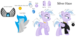 Size: 2480x1264 | Tagged: safe, artist:feather_bloom, imported from derpibooru, oc, oc only, oc:silver haze(kaitykat), pony, reference sheet, simple background, solo, the steel wings, white background