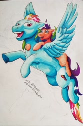 Size: 2510x3797 | Tagged: safe, artist:kim_trikhoof96, imported from derpibooru, rainbow dash, scootaloo, pegasus, pony, flying, high res, solo, traditional art