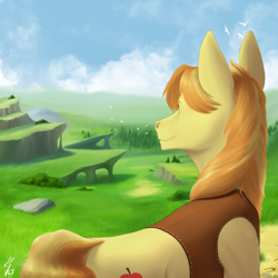 Size: 2048x2048 | Tagged: safe, artist:pheshka, imported from derpibooru, braeburn, earth pony, pony, bush, clothes, cloud, commission, day, grass, high res, male, mountain, outdoors, sky, smiling, solo, stallion, tree, two toned mane, vest, ych result