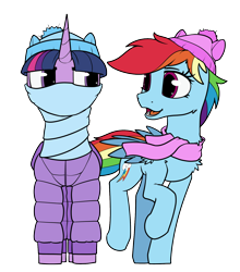 Size: 1400x1588 | Tagged: safe, artist:dacaoo, imported from derpibooru, rainbow dash, twilight sparkle, alicorn, pegasus, pony, bundle, bundled up, bundled up for winter, clothes, coat, duo, duo female, female, hat, scarf, simple background, transparent background, twilight sparkle (alicorn), wing sleeves, wings, winter, winter outfit