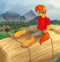 Size: 1786x1856 | Tagged: safe, artist:dyonys, imported from derpibooru, oc, oc:thickwear glasses, anthro, unguligrade anthro, unicorn, can, clopa-cola, clothes, commission, glasses, hay, hay bale, male, mountain, shirt, shorts, sitting, soda can, stallion, t-shirt