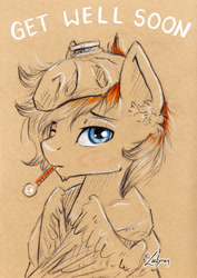 Size: 1240x1748 | Tagged: safe, artist:lailyren, imported from derpibooru, oc, oc only, oc:shade flash, pegasus, pony, solo