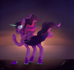 Size: 4692x4452 | Tagged: safe, artist:pokaparida, imported from derpibooru, sci-twi, twilight sparkle, alicorn, pony, equestria girls, absurd resolution, female, midnight sparkle, solo