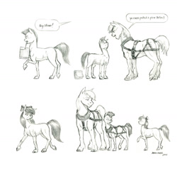 Size: 1400x1347 | Tagged: safe, artist:baron engel, imported from derpibooru, apple bloom, big macintosh, oc, oc:stone mane (baron engel), earth pony, pony, colt, female, filly, harness, male, monochrome, nudity, pencil drawing, sheath, stallion, tack, traditional art, unshorn fetlocks