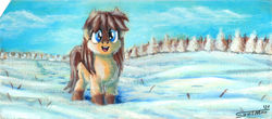 Size: 1200x528 | Tagged: safe, artist:sa1ntmax, imported from derpibooru, oc, oc only, oc:frosty flakes, pony, female, looking at you, mare, outdoors, punch card, smiling, snow, snow mare, snowpony (species), solo, traditional art, tree, yakutian horse