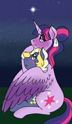 Size: 1800x3100 | Tagged: safe, artist:sereneocean, artist:sereneoceanic, artist:serenewaves, imported from derpibooru, star tracker, twilight sparkle, alicorn, earth pony, pony, blushing, cute, female, hug, male, mare, night, shipping, sky, stallion, stars, straight, twilight sparkle (alicorn), twitracker, winghug, wings