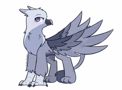 Size: 4096x3036 | Tagged: safe, artist:kittyrosie, imported from derpibooru, oc, oc only, griffon, cute, griffon oc, male, ocbetes, simple background, solo, white background
