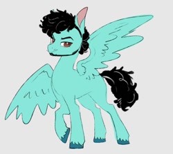 Size: 868x775 | Tagged: safe, artist:woollyart, imported from derpibooru, oc, oc only, pegasus, pony, beard, colored pupils, eyebrows, eyebrows visible through hair, facial hair, lidded eyes, looking at you, male, raised hoof, simple background, smiling, smiling at you, smirk, solo, spread wings, stallion, unshorn fetlocks, white background, wings