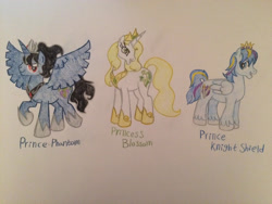 Size: 2828x2121 | Tagged: safe, artist:gibina4ever, imported from derpibooru, oc, oc:prince knight shield, oc:prince phantom, oc:princess blossom, alicorn, adopted offspring, alicorn oc, high res, horn, next generation, offspring, parent:king sombra, parent:princess cadance, parent:princess celestia, parent:princess luna, parent:shining armor, parents:shiningcadance, traditional art, wings