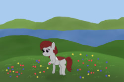 Size: 1280x854 | Tagged: safe, artist:eminent entropy, imported from derpibooru, oc, oc only, oc:skyfire lumia, pegasus, pony, flower, folded wings, hill, lake, meadow, scenery, solo, standing, wings