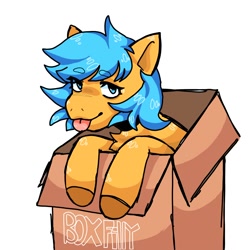 Size: 2000x2000 | Tagged: safe, artist:splisssh, imported from derpibooru, oc, oc only, oc:boxfilly, pegasus, pony, :p, box, cardboard box, chest fluff, female, filly, high res, looking at you, pegasus oc, simple background, solo, tongue out, white background