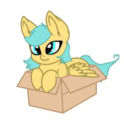 Size: 406x406 | Tagged: safe, artist:shadowgamer24, imported from derpibooru, oc, oc only, oc:boxfilly, pegasus, pony, box, cardboard box, female, filly, pegasus oc, simple background, solo, white background