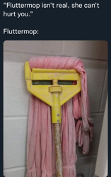 Size: 1080x1725 | Tagged: safe, imported from derpibooru, fluttershy, fluttermop, meme, meme origin, meta, mop, pareidolia, that was fast, twitter