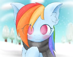 Size: 1800x1400 | Tagged: safe, artist:adamai_0517, imported from derpibooru, rainbow dash, pegasus, pony, :3, blurry background, blushing, clothes, cloud, cute, dashabetes, ear fluff, eye clipping through hair, female, hair over one eye, looking at you, scarf, snow, solo, tree, winter