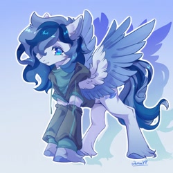 Size: 1500x1500 | Tagged: safe, artist:qamar, imported from derpibooru, oc, oc only, pegasus, pony, clothes, commission, hoodie, smiling, solo, spread wings, unshorn fetlocks, wings