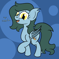 Size: 2000x2000 | Tagged: safe, artist:dafiltafish, imported from derpibooru, oc, oc:harvest moon, bat pony, pony, bat pony oc, e, eeee, female, high res, solo, text