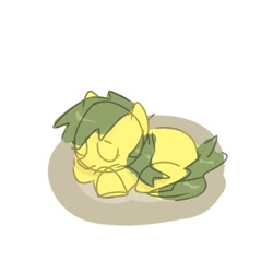 Size: 2000x2000 | Tagged: safe, artist:omelettepony, oc, oc only, earth pony, pony, eyes closed, simple background, sleeping