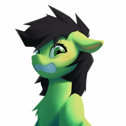 Size: 3000x3000 | Tagged: safe, artist:senaelik, oc, oc:filly anon, earth pony, pony, chest fluff, female, filly, grimace, simple background