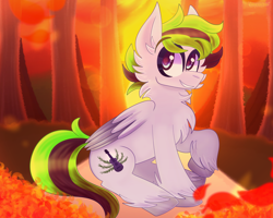 Size: 2500x2000 | Tagged: safe, artist:saveraedae, imported from derpibooru, oc, oc only, oc:nature song, pegasus, pony, autumn, cheek fluff, chest fluff, folded wings, forest, high res, leaves, male, raised hoof, sitting, solo, stallion, unshorn fetlocks, wings