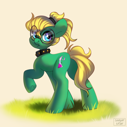 Size: 3000x3000 | Tagged: safe, artist:sugarstar, imported from derpibooru, oc, oc only, oc:professor sugarcube, earth pony, pony, collar, glasses, high res, looking at you, looking back, looking back at you, solo