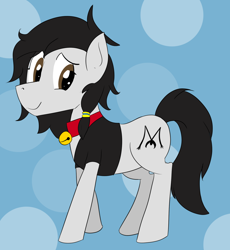 Size: 1568x1704 | Tagged: safe, alternate version, artist:soccy, derpibooru exclusive, imported from derpibooru, oc, oc only, oc:double m, earth pony, pony, bell, bell collar, black mane, black tail, blue background, brown eyes, circle background, clothes, collar, cutie mark, earth pony oc, jacket, looking at you, male, simple background, smiling, smiling at you, solo, stallion, tail, white coat