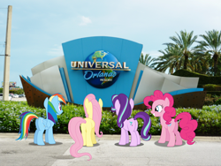 Size: 1600x1200 | Tagged: safe, artist:dashiesparkle, imported from derpibooru, fluttershy, pinkie pie, rainbow dash, starlight glimmer, earth pony, pegasus, pony, female, florida, irl, mare, orlando, photo, ponies in real life