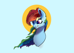 Size: 3552x2508 | Tagged: safe, artist:i love hurt, imported from derpibooru, rainbow dash, pegasus, pony, bust, female, head, high res, mare, nimbus, portrait, simple background, solo
