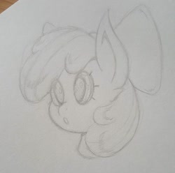 Size: 1330x1317 | Tagged: safe, artist:howl echoes, imported from derpibooru, apple bloom, earth pony, pony, bust, female, filly, portrait, sketch, solo, traditional art