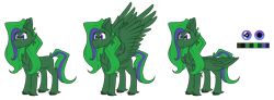 Size: 6472x2371 | Tagged: safe, artist:tizhonolulu, imported from derpibooru, oc, oc only, oc:brocc, pegasus, pony, cheek fluff, chest fluff, reference, reference sheet, simple background, solo, transparent background, unshorn fetlocks, wings
