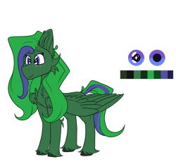 Size: 2545x2371 | Tagged: safe, artist:tizhonolulu, imported from derpibooru, oc, oc only, oc:brocc, pegasus, pony, cheek fluff, chest fluff, ear fluff, high res, reference, reference sheet, simple background, solo, transparent background, unshorn fetlocks, wings