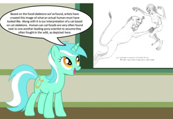 Size: 1284x888 | Tagged: safe, imported from derpibooru, lyra heartstrings, cat, human, pony, unicorn, fossil, human studies101 with lyra, meme