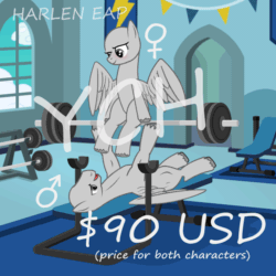 Size: 800x800 | Tagged: safe, artist:harleneap, imported from derpibooru, rainbow dash, soarin', pegasus, pony, animated, commission, gym, lifting, your character here