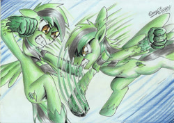 Size: 2332x1654 | Tagged: safe, artist:3500joel, imported from derpibooru, oc, oc only, oc:diamond green, pegasus, pony, artificial hands, duo, female, fight, gritted teeth, male, pegasus oc, speed lines