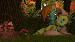 Size: 1280x720 | Tagged: safe, artist:dobbydeeps, imported from derpibooru, fluttershy, rainbow dash, pegasus, pony, 3d, female, flutterdash, forest, grass, lesbian, looking at each other, looking at someone, mare, shipping, source filmmaker, tree