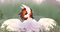 Size: 3264x1751 | Tagged: safe, artist:elektra-gertly, imported from derpibooru, oc, oc only, oc:rainy sky, pegasus, pony, back fluff, commission, female, forest, large wings, looking back, mare, solo, spread wings, wings, ych result