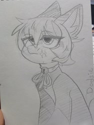 Size: 1620x2160 | Tagged: safe, artist:dodsie, imported from derpibooru, oc, oc only, earth pony, ear fluff, female, mare, monochrome, pencil drawing, sitting, solo, traditional art