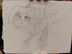 Size: 2560x1925 | Tagged: safe, artist:dodsie, imported from derpibooru, oc, oc only, earth pony, pony, female, mare, monochrome, pencil drawing, solo, traditional art