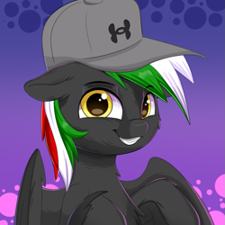 Size: 939x939 | Tagged: safe, artist:joaothejohn, imported from derpibooru, oc, oc only, oc:winged beer, pegasus, cute, hat, pegasus oc, simple background, smiling, solo